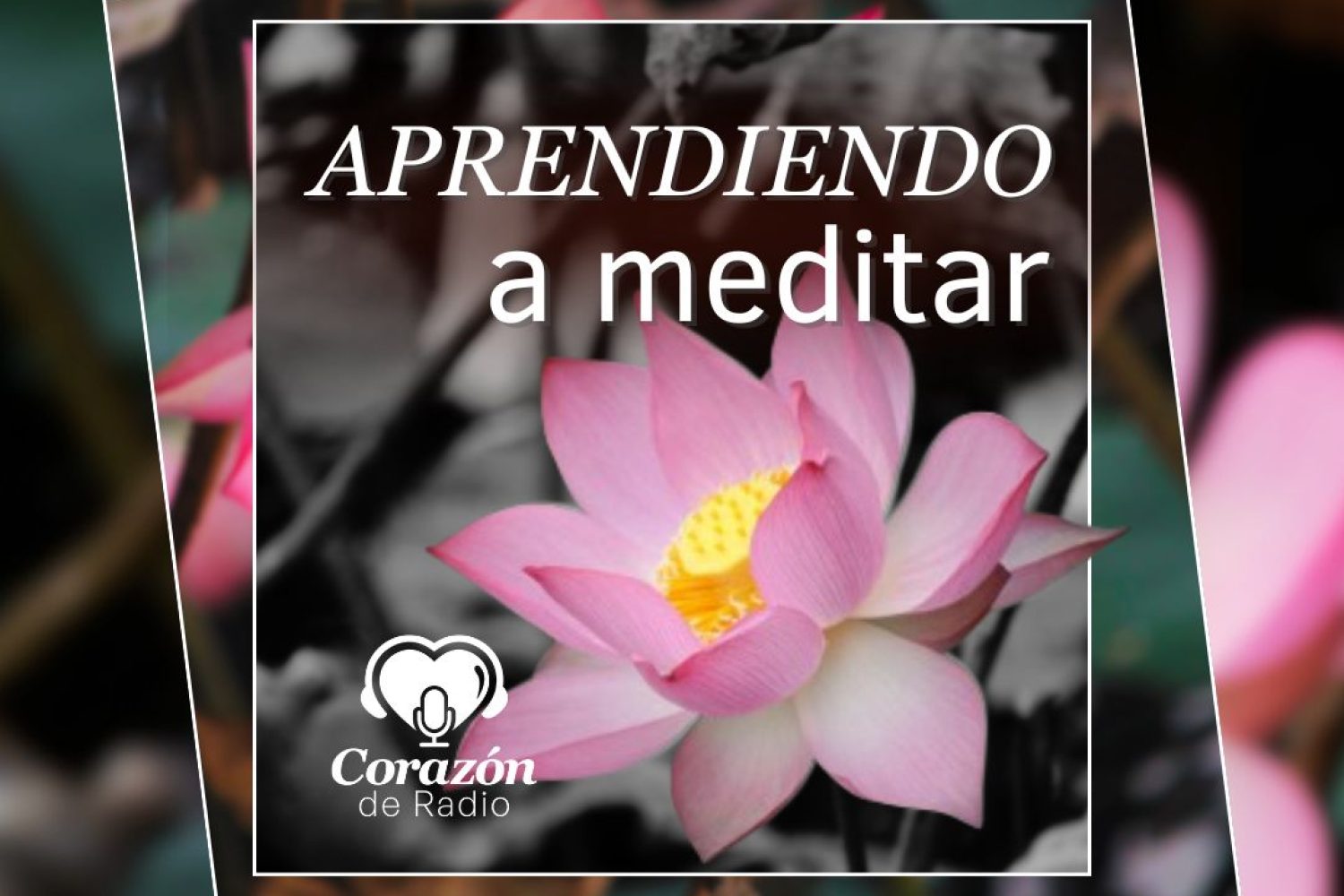 Aprendiendo a meditar